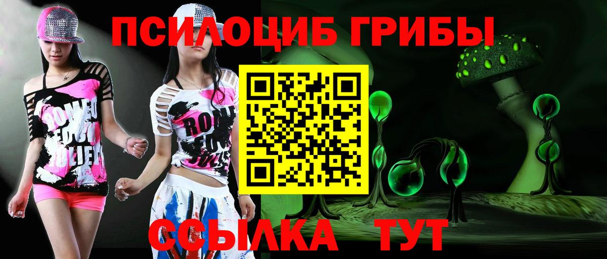 Псилоцибиновые грибы мицелий Железноводск